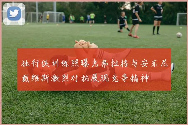 独行侠训练照曝光弗拉格与安东尼戴维斯激烈对抗展现竞争精神