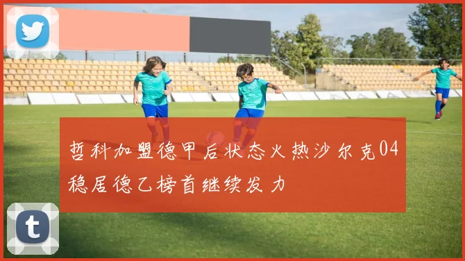 哲科加盟德甲后状态火热沙尔克04稳居德乙榜首继续发力