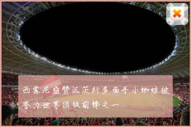 西蒙尼盛赞汉茨科多面手小蜘蛛被誉为世界顶级前锋之一