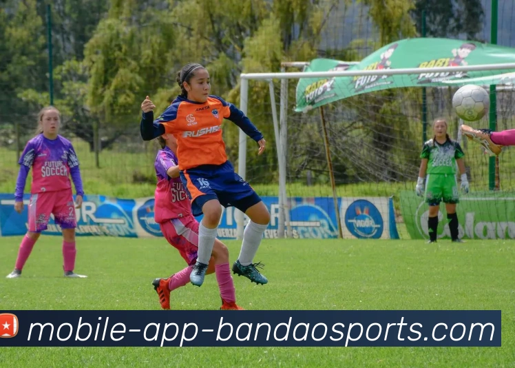 半岛体育服务体系