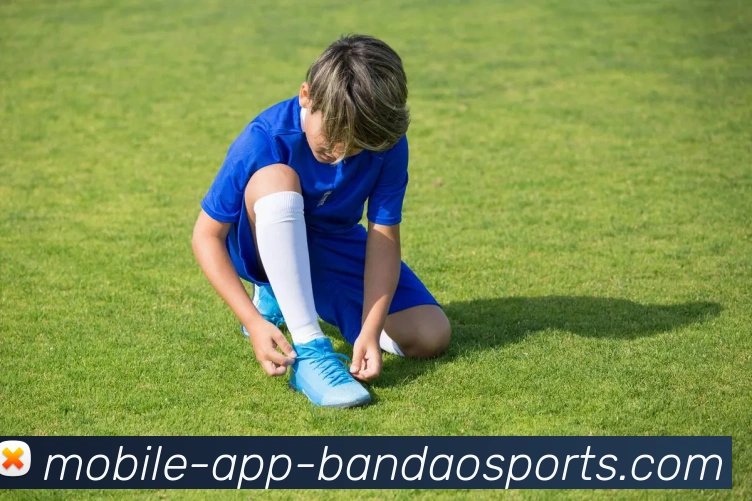 半岛体育APP 体育赛事宣传图